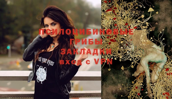 соль ск Вязники
