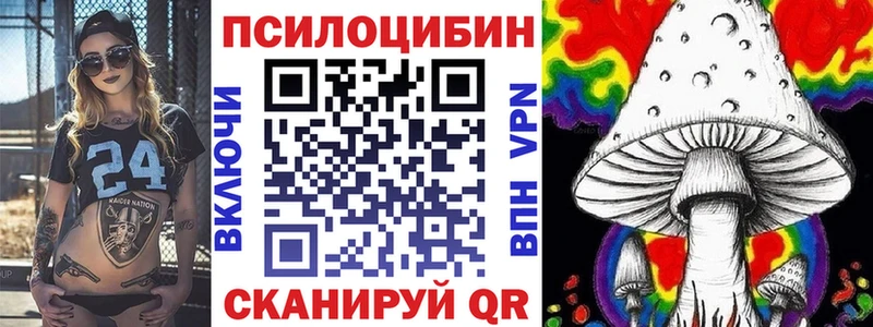 купить наркоту  Камень-на-Оби  Галлюциногенные грибы прущие грибы 